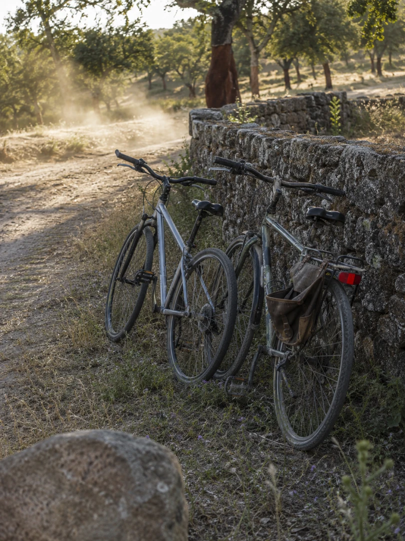 Bicicletas na Herdade das Onzenas