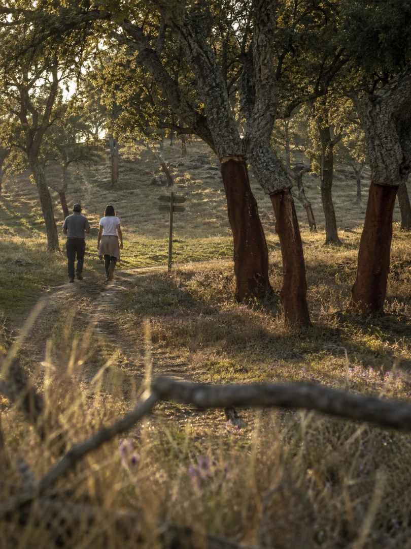Percurso pedestre na Herdade das Onzenas