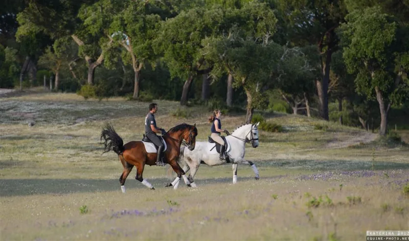 Riders out on the cork oak trails