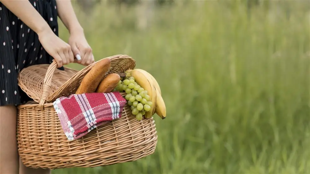 Piquenique no montado na Herdade das Onzenas